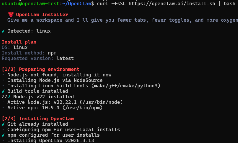 OpenClaw Installation