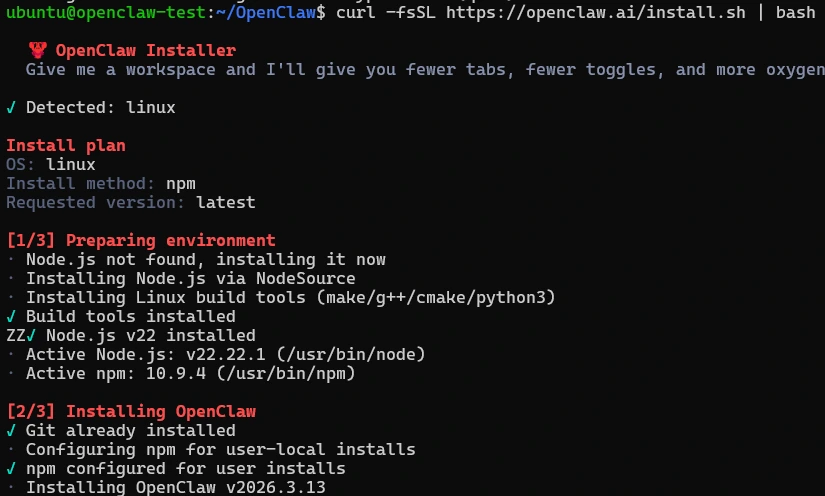 OpenClaw Installation