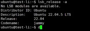 lsb_release -a command output