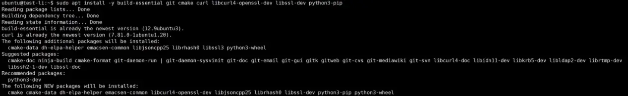 sudo apt update command output